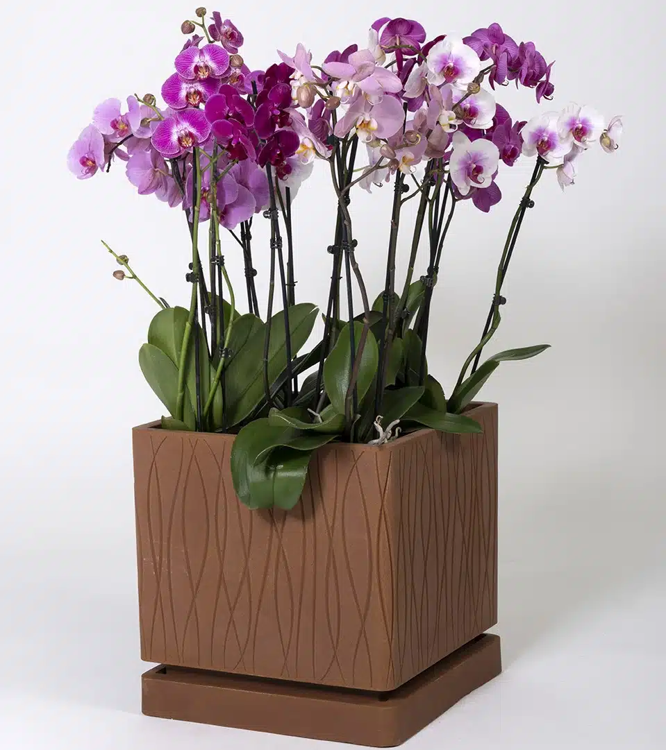 مركن ناتوراليا المربع - Square naturalia pot - 40